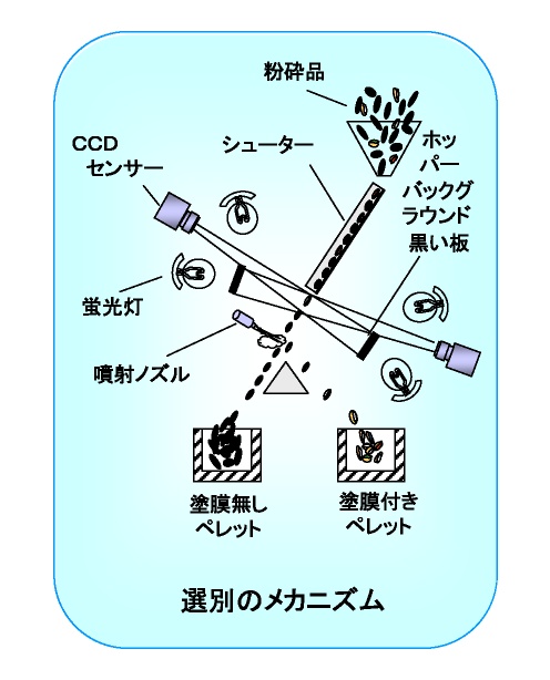 バンパー・トゥ・バンパー リサイクル